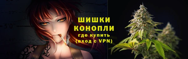 молекула духа Горнозаводск