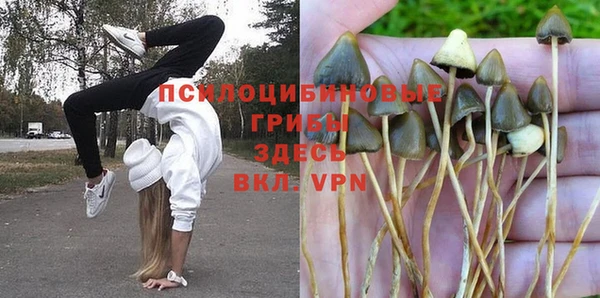 твердый Горняк