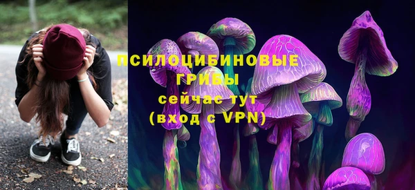 твердый Горняк