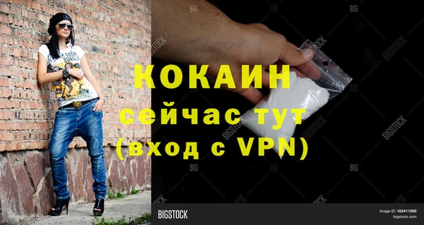 твердый Горняк